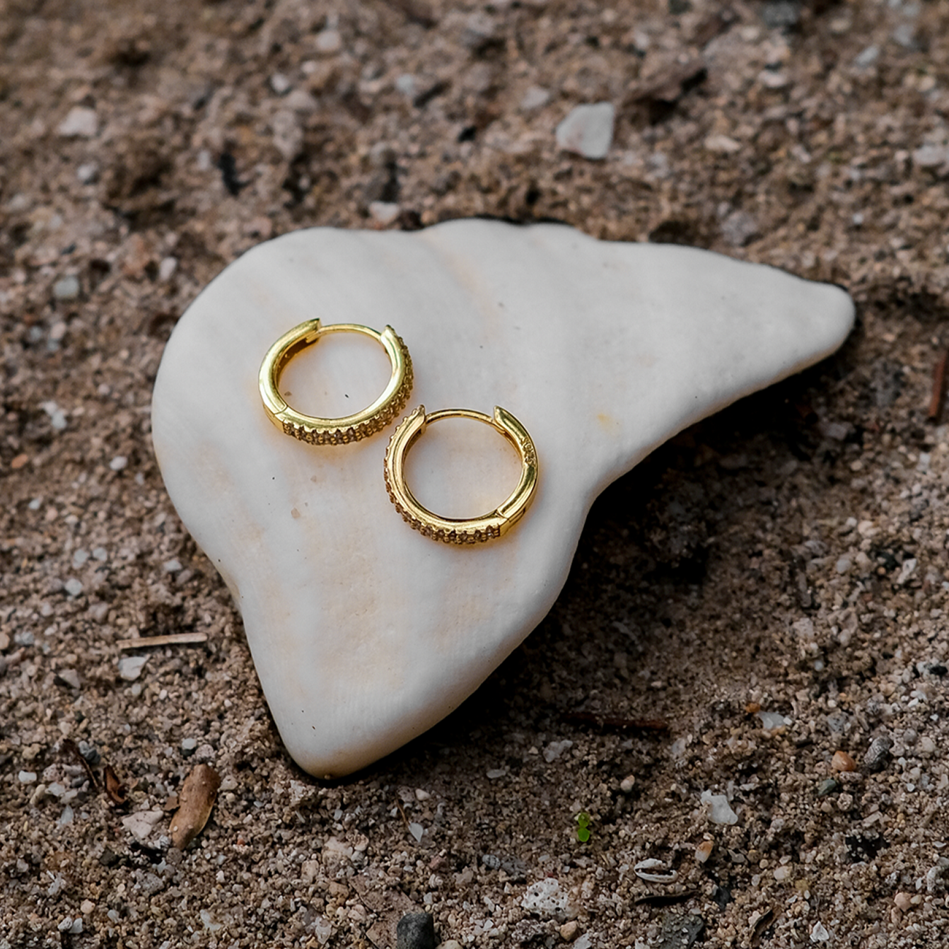 Boucles d'oreilles Cathy Paved Hoop