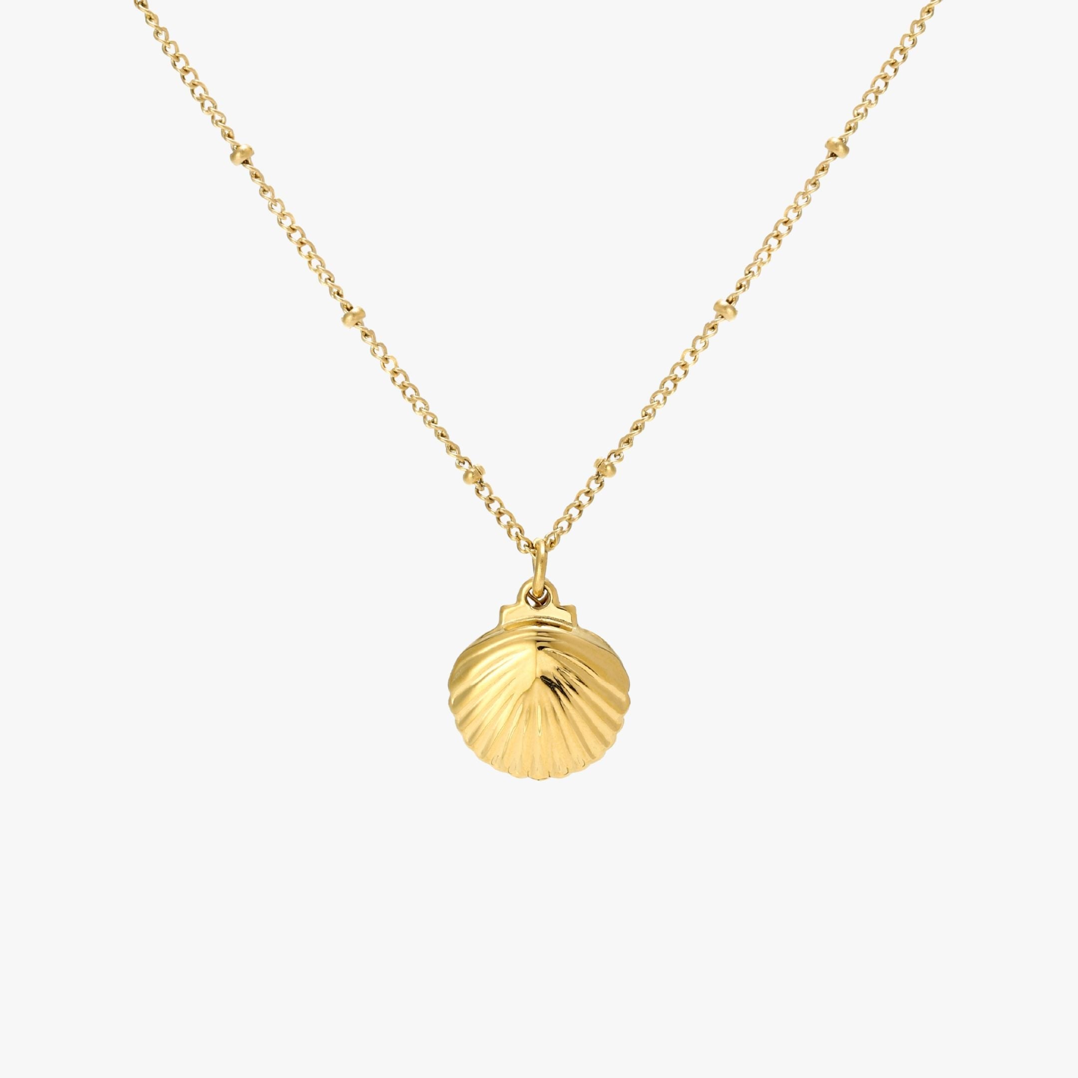 Collier de coquillages