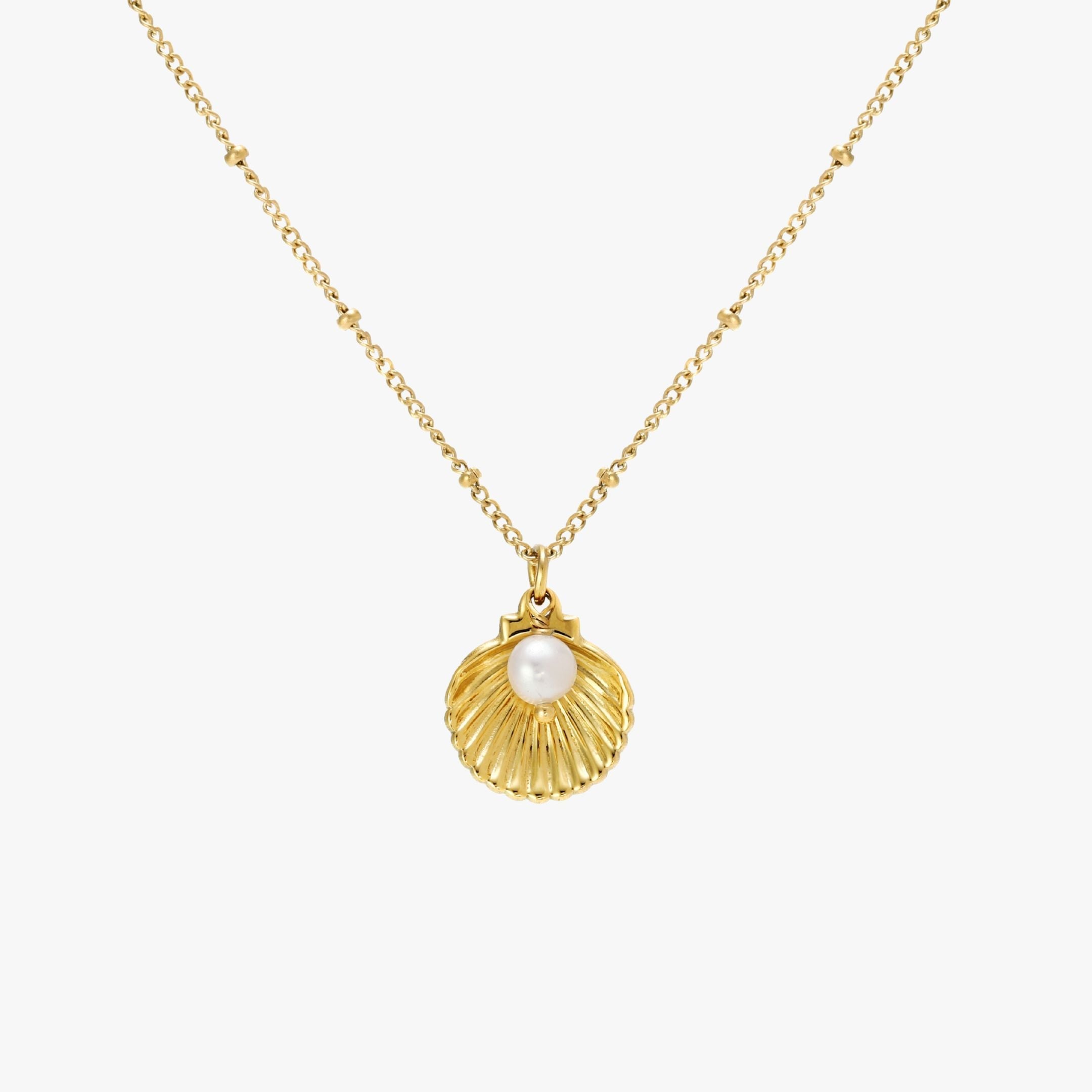 Collier de coquillages