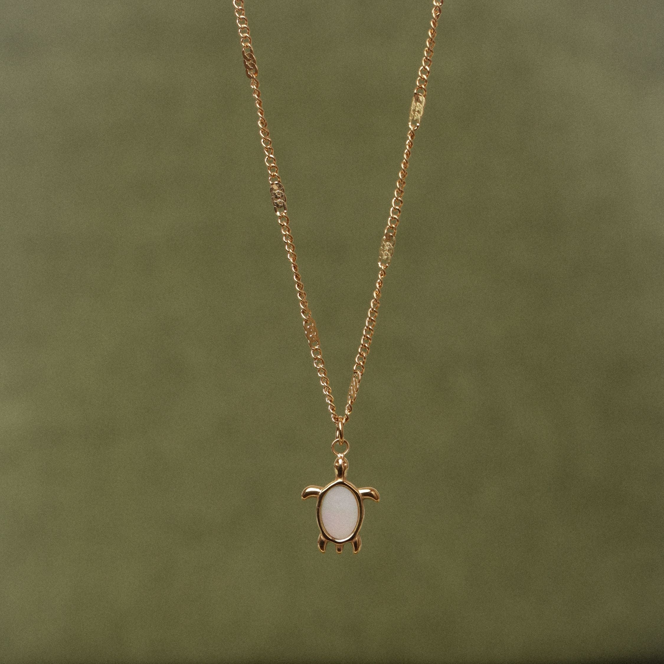 Collier Gardien des Tortues