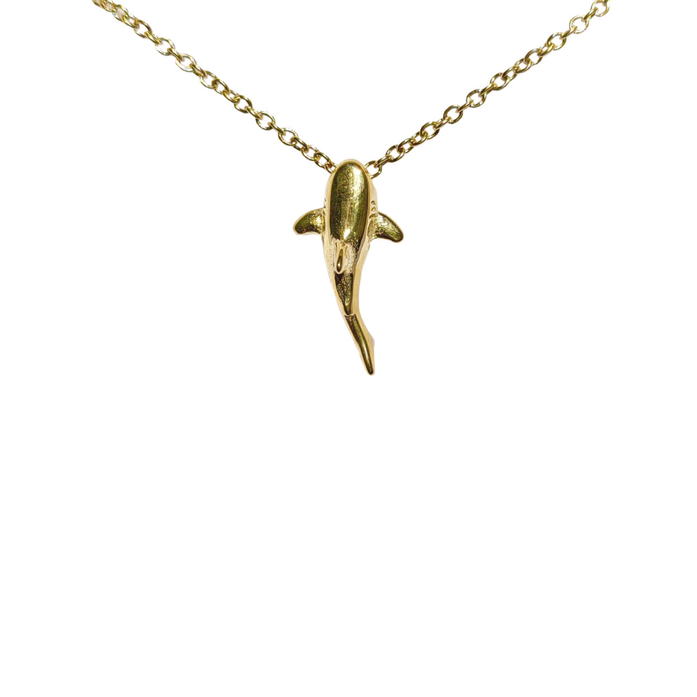 Collier de requin