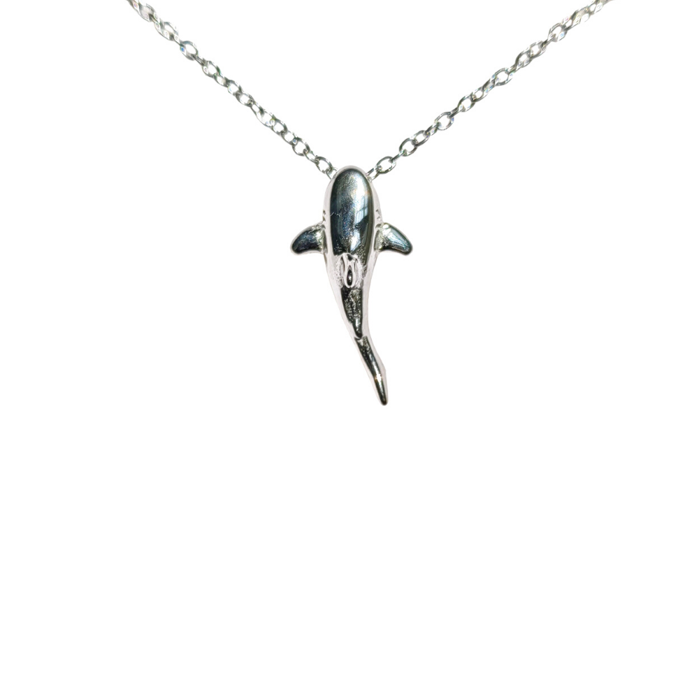 Collier de requin