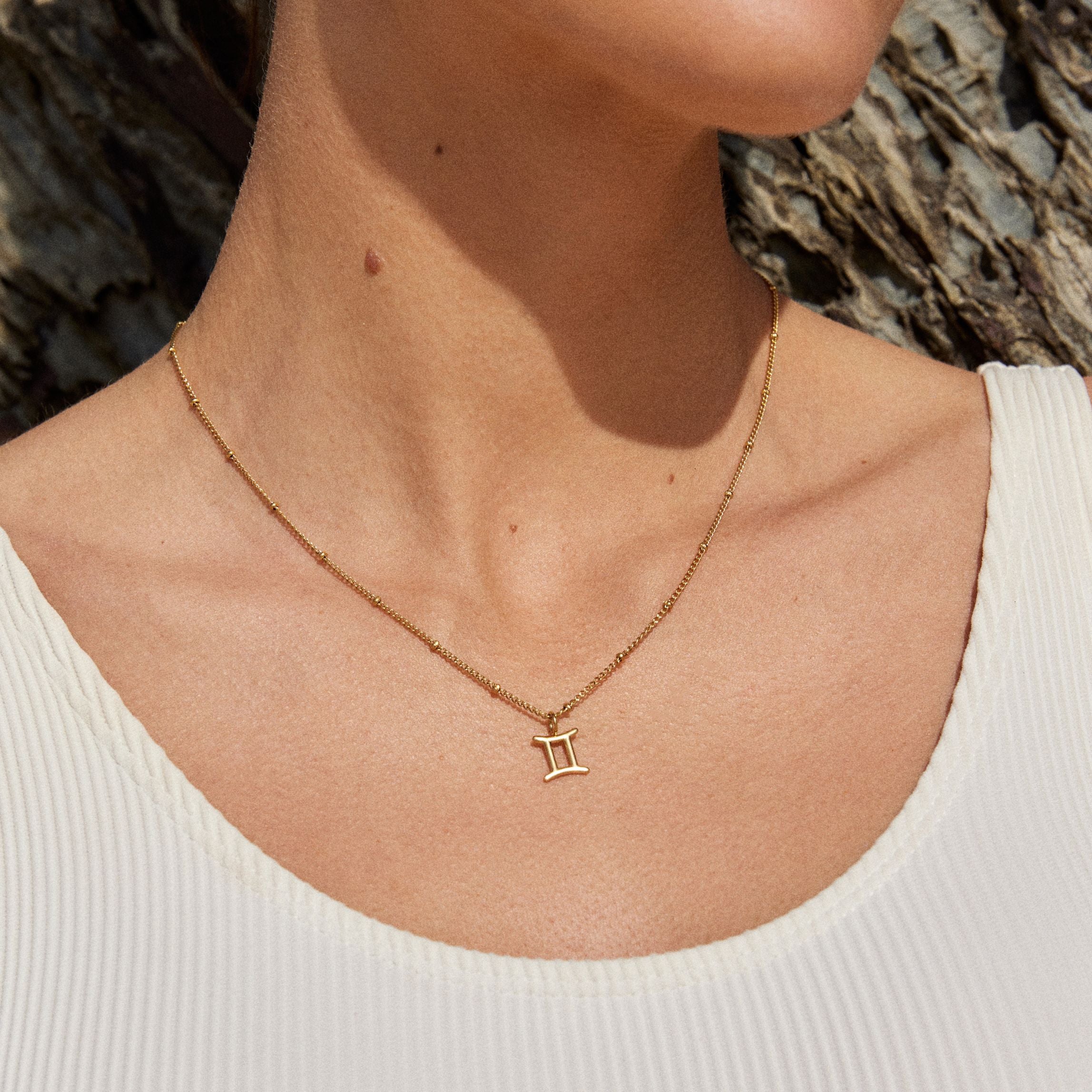 Collier Zodiac