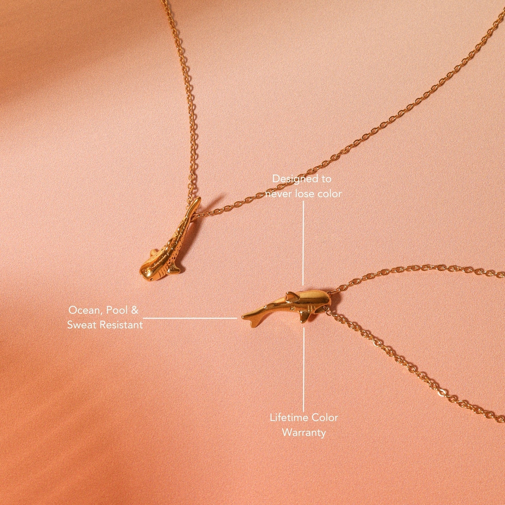 Collier de requin