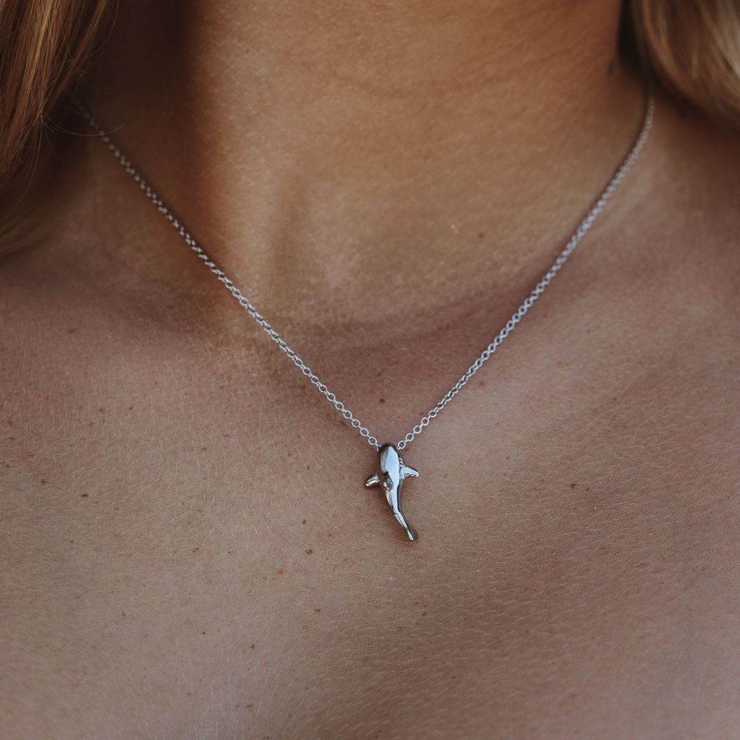 Collier de requin