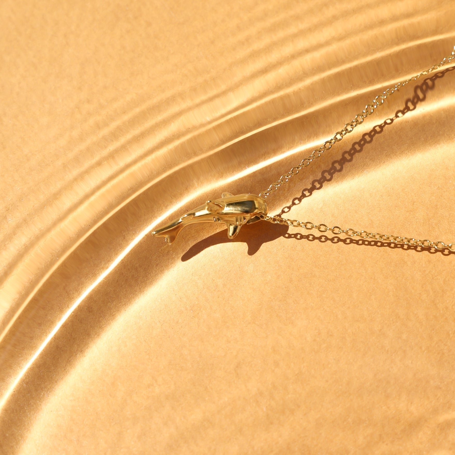 Collier de requin