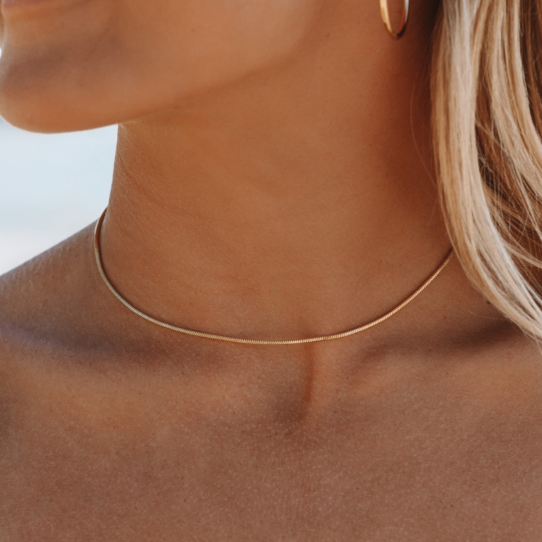 Choker Fin