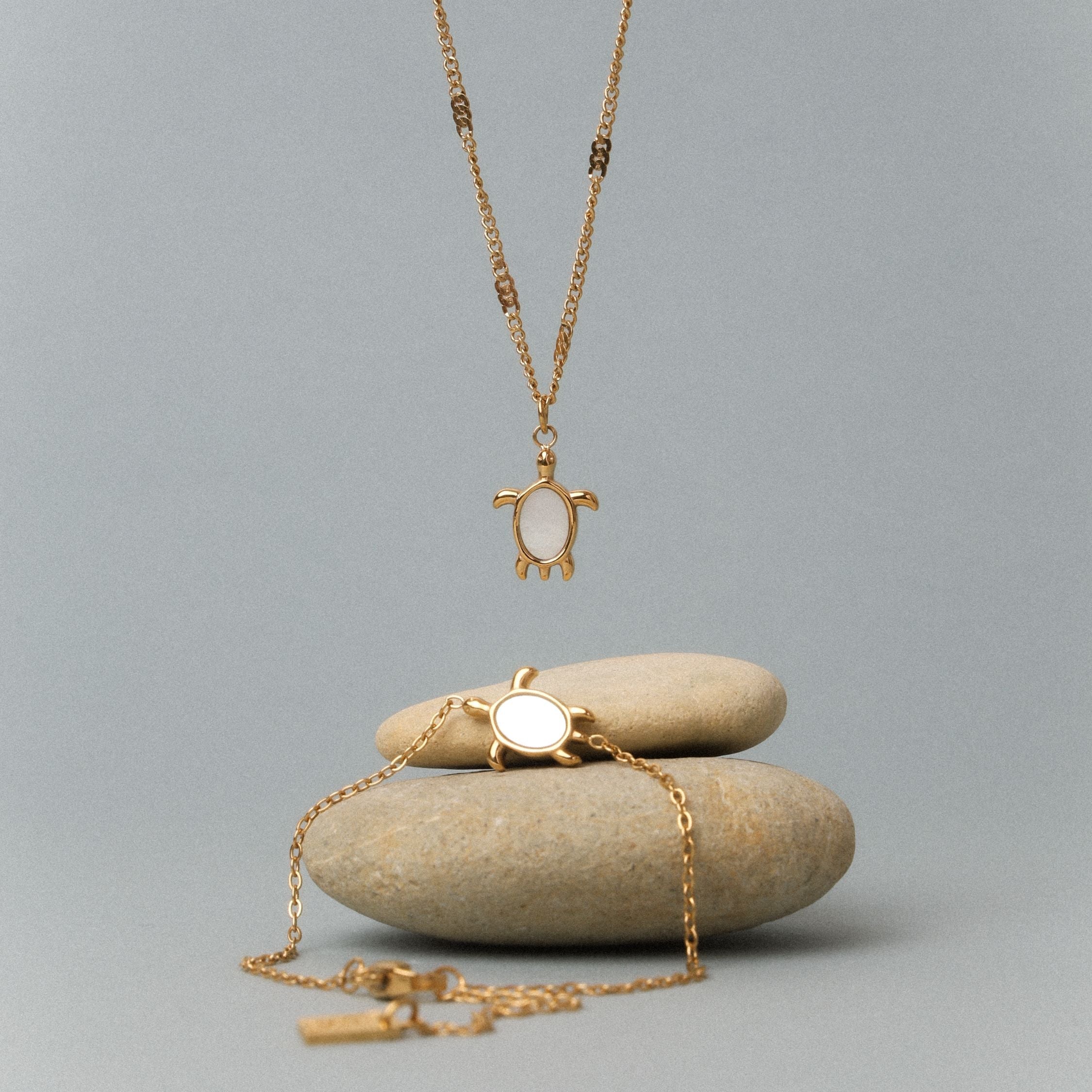 Ensemble Gardien des Tortues